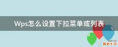 Wps怎么设置下拉菜单或列表