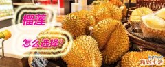 榴莲怎么选择果肉饱满的 怎么判断榴莲是否成熟