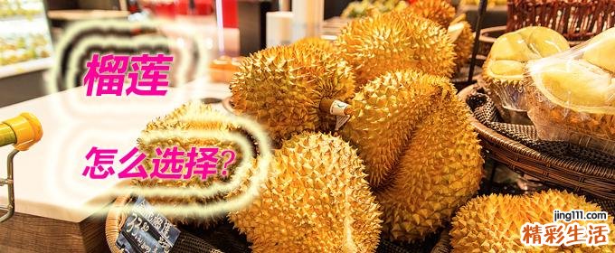 榴莲怎么选择果肉饱满的 怎么判断榴莲是否成熟