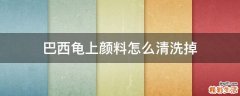 巴西龟上颜料怎么清洗掉