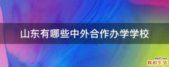 山东有哪些中外合作办学学校