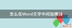 怎么在Word文字中间加横线
