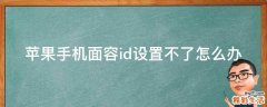苹果手机面容id设置不了怎么办