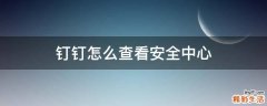 钉钉怎么查看安全中心