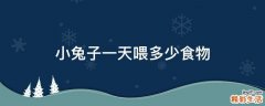 小兔子一天喂多少食物