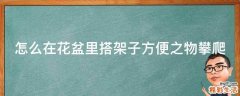 怎么在花盆里搭架子方便之物攀爬
