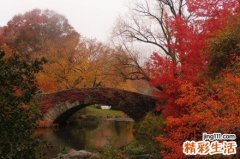 视盘发育异常引发什么疾病