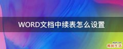 WORD文档中续表怎么设置