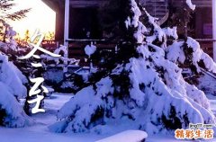 今年冬至农历几月几日2023