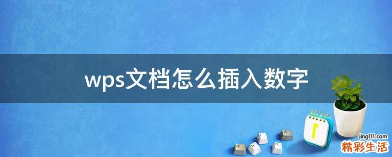 wps文档怎么插入数字