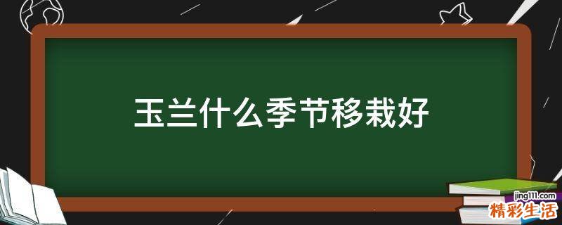 玉兰什么季节移栽好