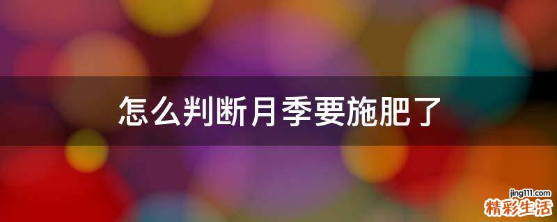 怎么判断月季要施肥了