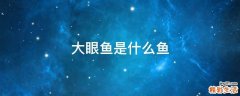 大眼鱼是什么鱼