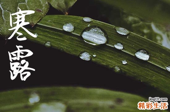 寒露下雨好还是晴天好