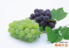 葡萄是什么季节的水果