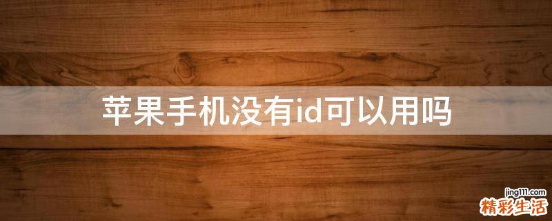 苹果手机没有id可以用吗
