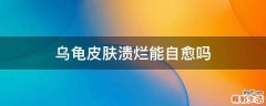乌龟皮肤溃烂能自愈吗