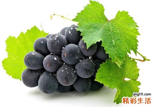 黑加仑是葡萄吗