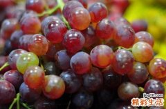 葡萄的功效与作用及食用方法