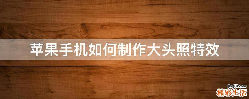 苹果手机如何制作大头照特效