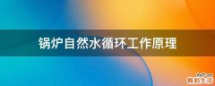 锅炉自然水循环工作原理