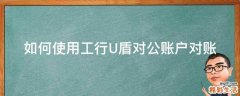 如何使用工行U盾对公账户对账