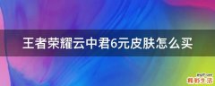 王者荣耀云中君6元皮肤怎么买