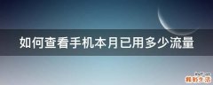 如何查看手机本月已用多少流量