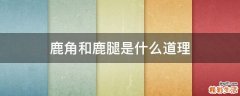 鹿角和鹿腿是什么道理