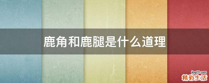 鹿角和鹿腿是什么道理