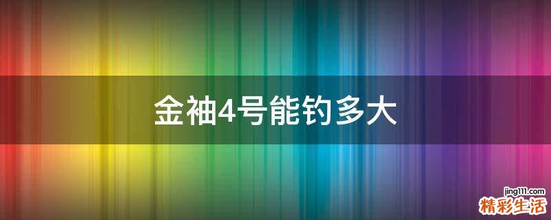金袖4号能钓多大
