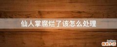 仙人掌腐烂了该怎么处理