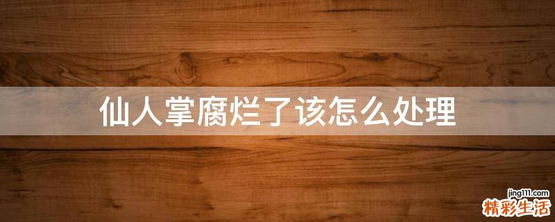 仙人掌腐烂了该怎么处理