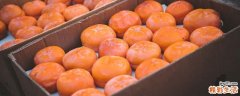 冻柿子不能和什么食物一起吃 冻柿子要熟了才能冻么