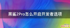 黑鲨2Pro怎么开启开发者选项