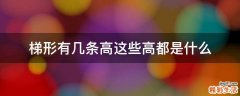 梯形有几条高这些高都是什么