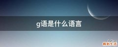 g语是什么语言