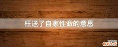 枉送了自家性命的意思