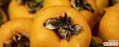 脆柿子为什么里面是黑的 脆柿子里面是黑的能吃吗