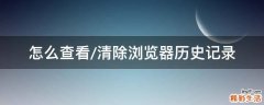 怎么查看/清除浏览器历史记录