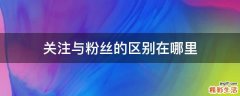 关注与粉丝的区别在哪里