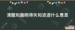清醒知趣明得失知进退什么意思