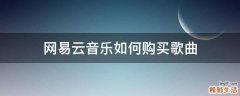网易云音乐如何购买歌曲