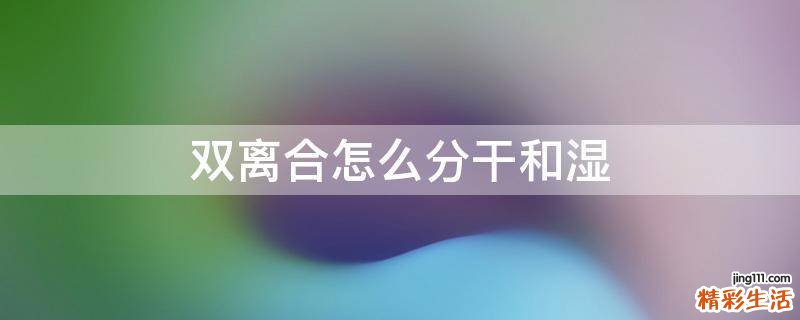双离合怎么分干和湿