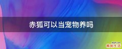 赤狐可以当宠物养吗