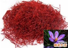藏红花可以和枸杞红枣一起泡吗 藏红花枸杞红枣泡水有什么好处