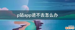 p站app进不去怎么办