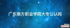广东南方职业学院大专公认吗