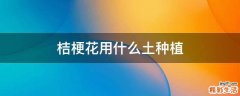 桔梗花用什么土种植