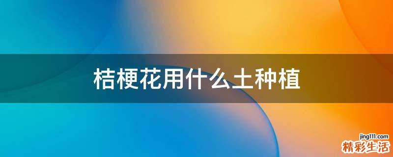 桔梗花用什么土种植